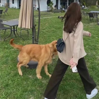 白毛女